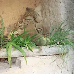 Country house Casas En Batuecas Villanueva del Conde